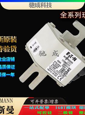 巴斯曼170M5111 170M5112 170M5113 原装进口零售 快速熔断器