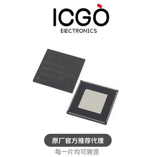 原装 RV1106 G2 G3 芯片高度集成的ARM通用型SoC， IPC的机器视觉