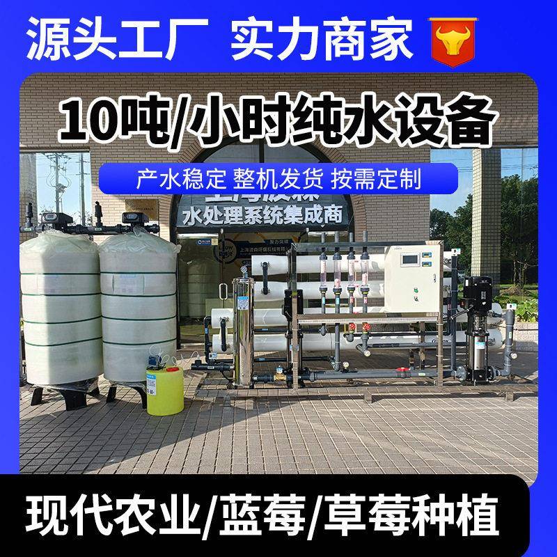 蓝莓草莓种植净水设备现农业反渗透设备大型灌溉10T/H纯水系统