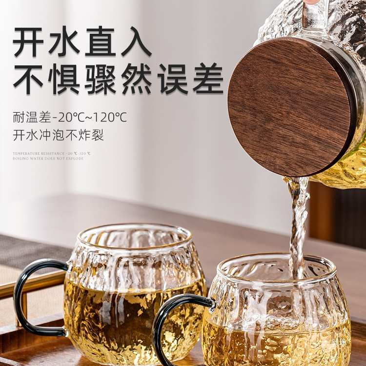 耐高温玻璃喝水杯子套装家用轻奢感待客厅高颜值带把手泡茶具