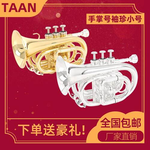 原真正的泰安棕榈数口袋小号与B平镀银黄铜小号乐器初学者参加考