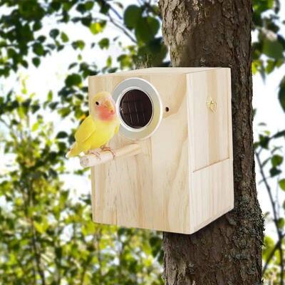 Wood Bird House Nest Birds Breeding Box Bird Parrot