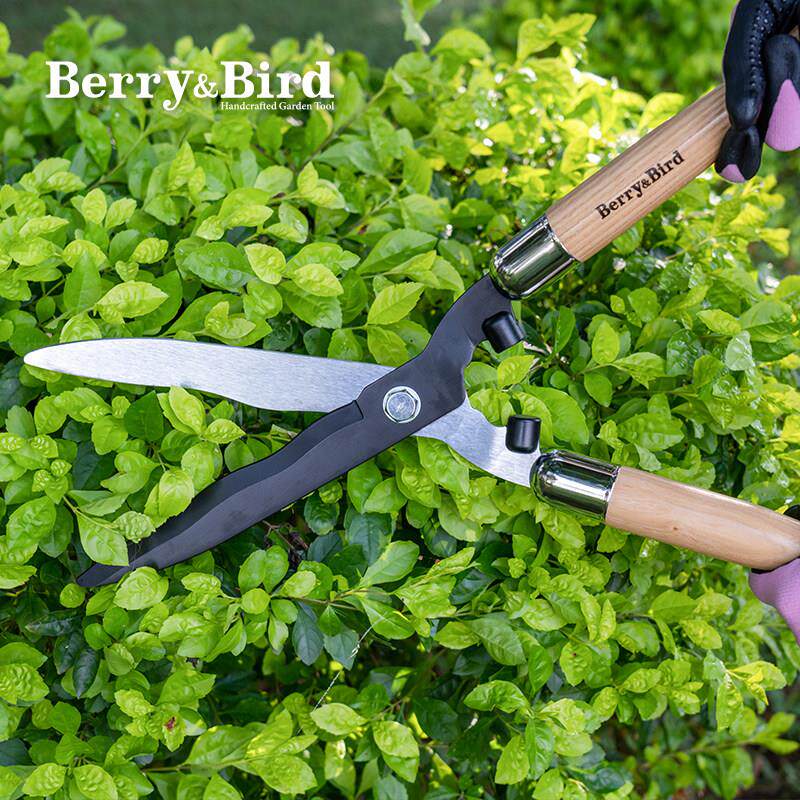 Berry&bird园艺绿篱剪大剪刀修剪草坪绿化果树专用强力粗枝剪木柄