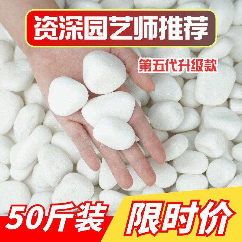 50斤白石子石头大鹅卵石庭院铺路铺地小白石头造景景观白色石子