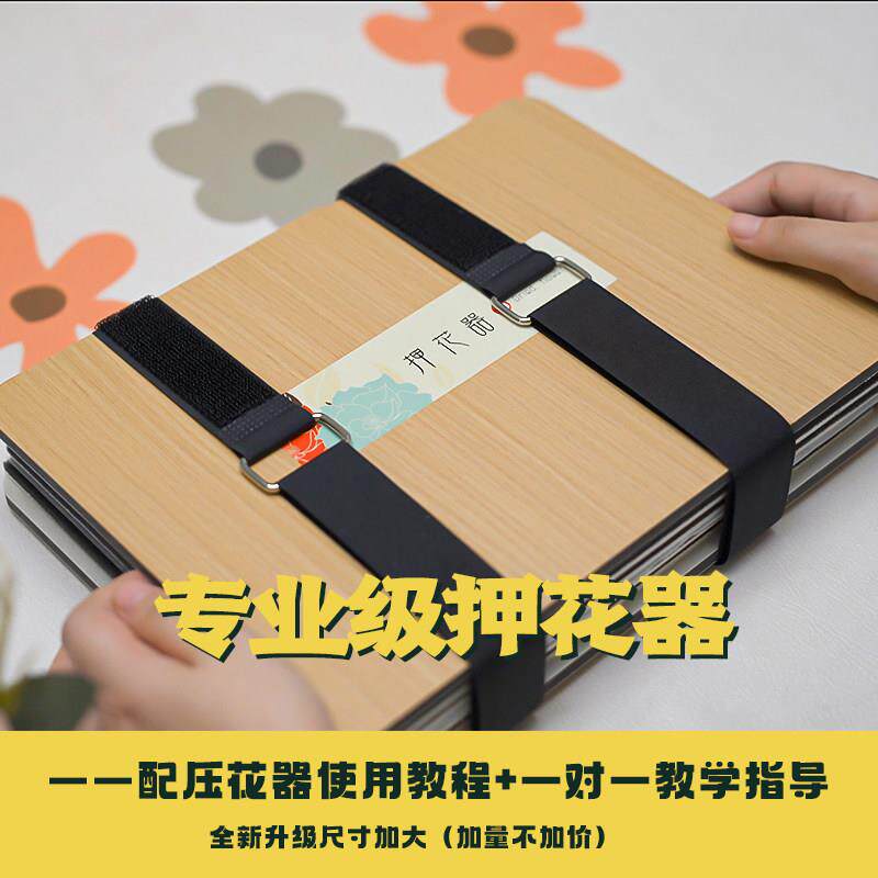 专业压花器植物标本制作工具手工压花板干 干燥押花器干 干燥花压