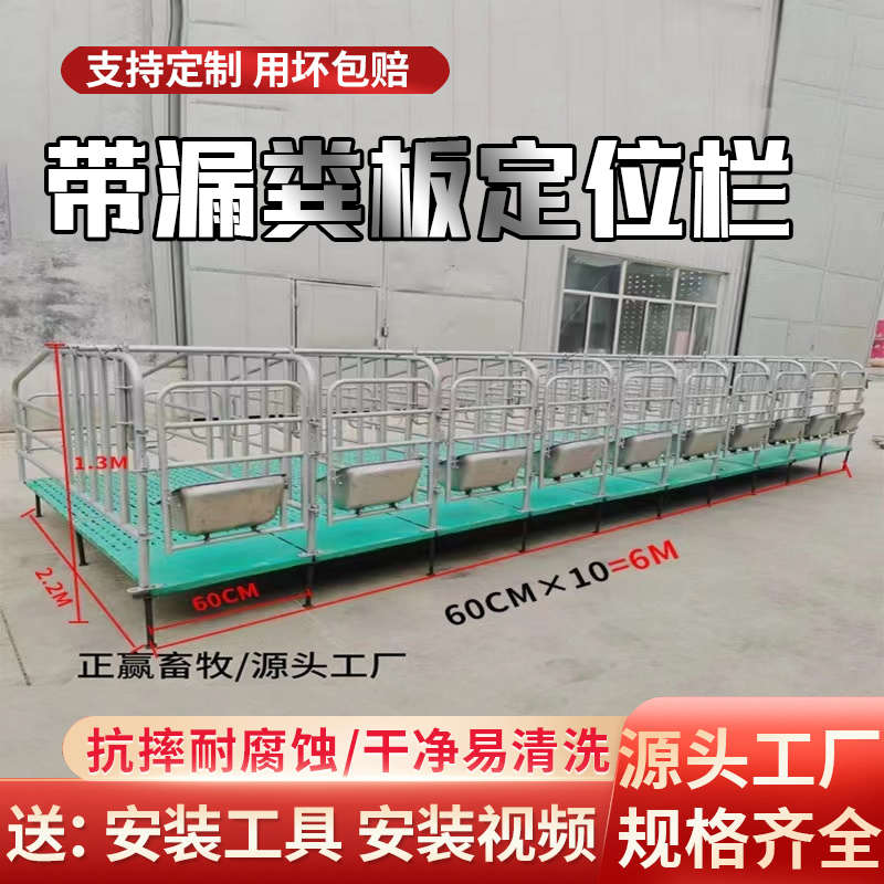 母猪定位栏养猪场设备限位栏带漏粪板定位栏热镀锌猪用复合定位栏
