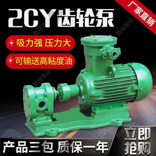 上海2CY齿轮油泵2CY齿轮泵2CY-1.08/10电动齿轮输油泵