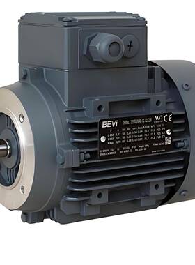 BEVI三相异步电机3EL090L4D-PD-AA-C96电动马达