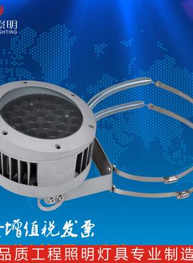 抱箍灯园林景观照树染色9BH-TGD-0W12W18W斜灯光盖投灯外防水聚户
