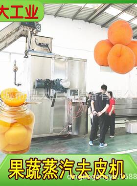 食品级黄桃去皮机无药剂物理剥离易清洁运行稳定售后保障