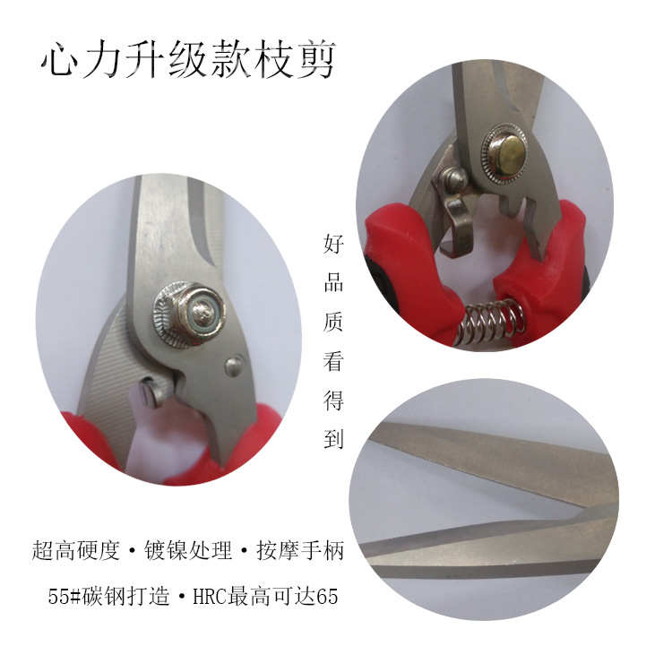 金龙7寸电工剪刀薄铁皮剪多功能电子剥线剪线槽剪修花枝剪不锈钢