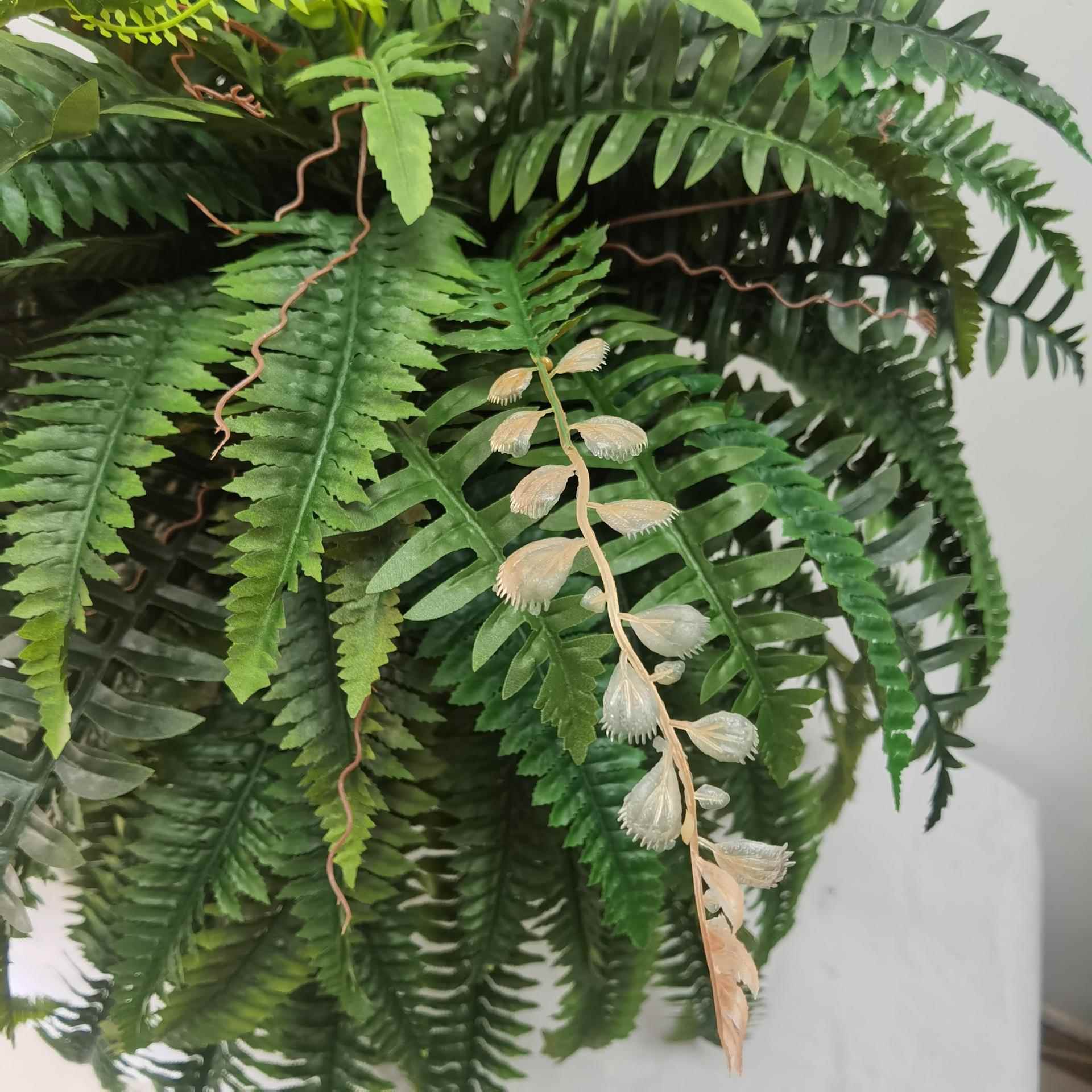 大仿蕨类物盆栽植波斯草客厅006CV210室内装真饰绿植人造型尖尾波