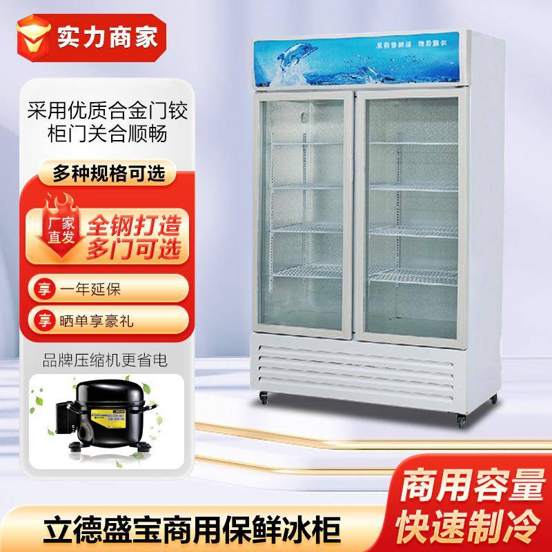 立德盛宝商用冰箱冰柜保鲜展示柜冷藏冰柜立式保鲜柜饮料柜啤酒柜