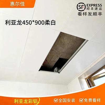 惠尔佳450900集成吊顶铝扣板客厅厨房大板哑光柔白抗油污铝天花板