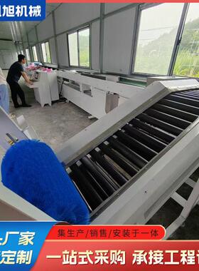 全自动水果选果机 机器视觉系统糖度霉心检测机 运行稳定效率