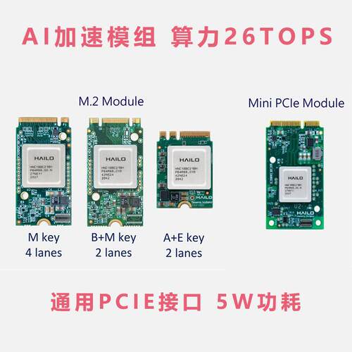 Ai计算机器视觉无人机监控视频图像分析边缘计算加速Hailo-8Npu卡