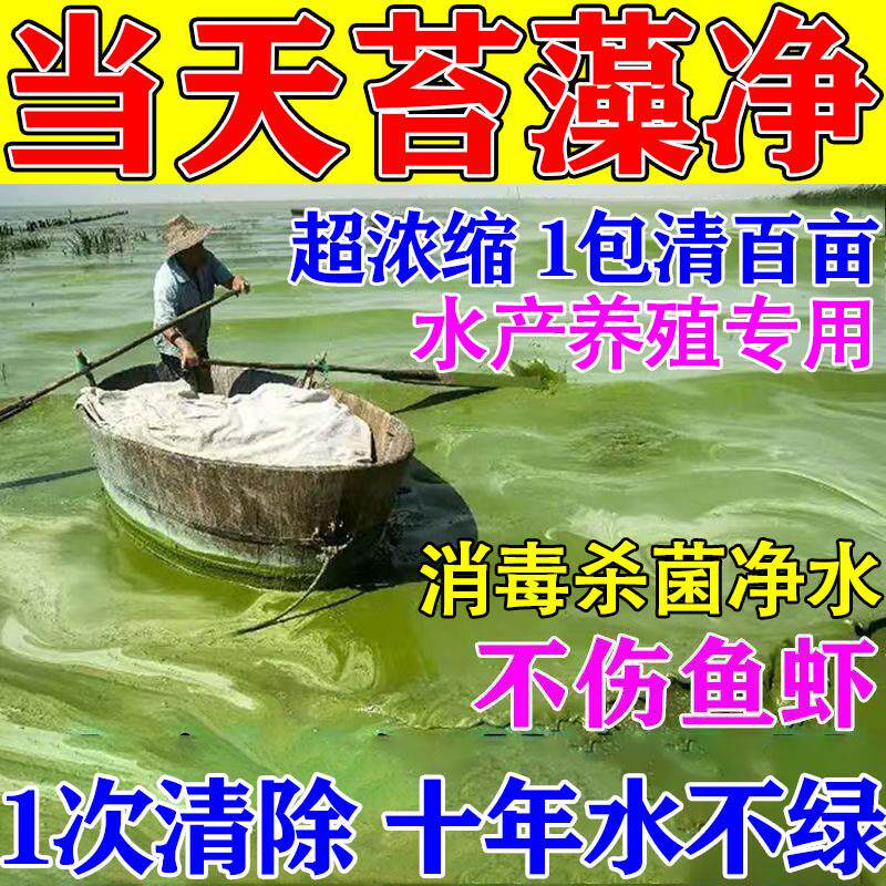 鱼池除藻剂清除鱼缸鱼塘净水剂去绿藻青苔清除剂水藻蓝藻不伤鱼