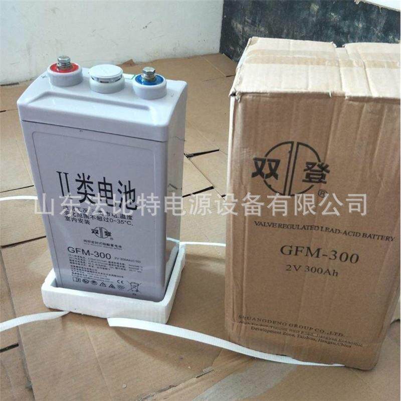 双登铅酸蓄电池GFM-100免维护2V100Ah轨道交通质保3年