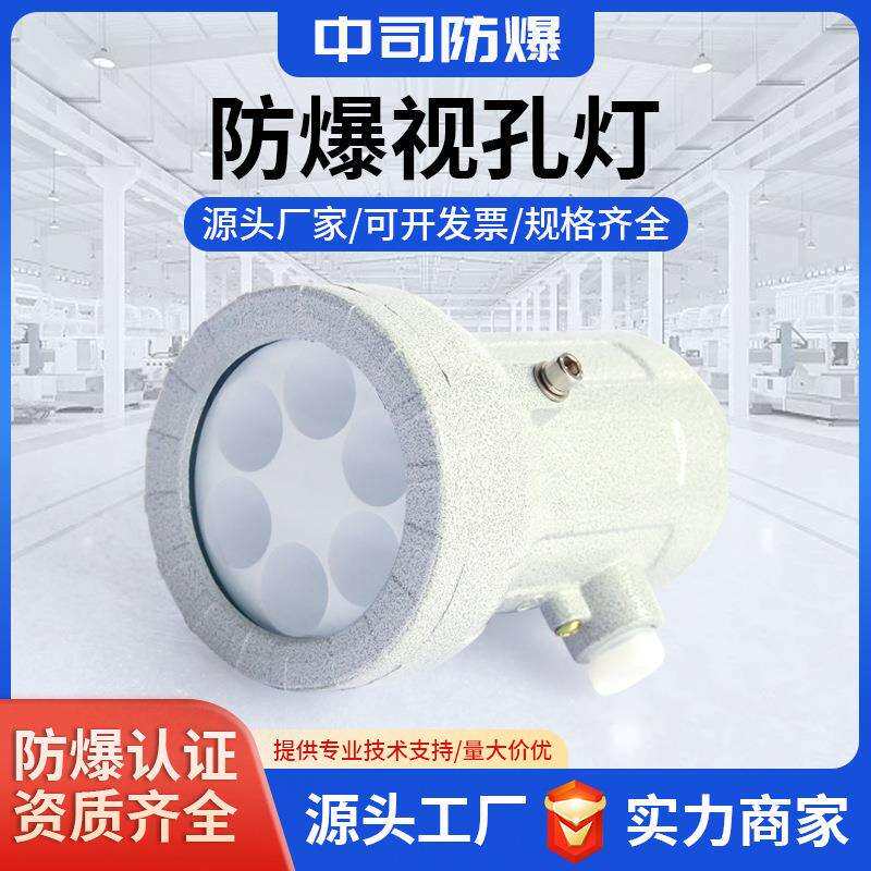 防爆视孔灯LED防爆反应釜灯照明灯BSD视镜灯5W10W延时探照灯24V22