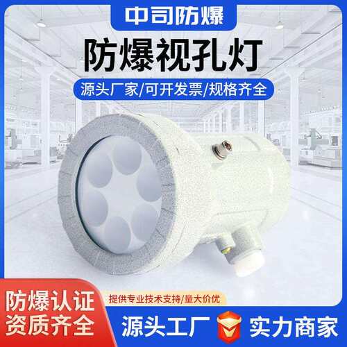 防爆视孔灯LED防爆反应釜灯照明灯BSD视镜灯5W10W延时探照灯24V22