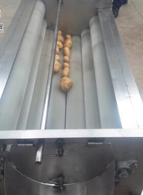 厂销售辊毛辊ERZ清洗机 土豆洗去皮去泥清洗机 家水果蔬菜毛清设