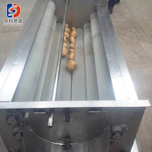 厂销售辊毛辊ERZ清洗机 土豆洗去皮去泥清洗机 家水果蔬菜毛清设