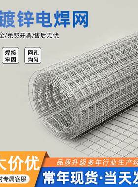热镀锌电焊网钢丝网抹墙细铁丝电焊网内外墙保温防开裂焊接方格网