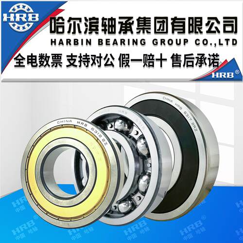 HRB哈尔滨轴承6217 6218 6219 6220 6221 6222深沟球双密封大轴承