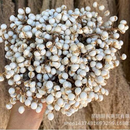 【白果公斤称】干花白WLA木子按小果小果