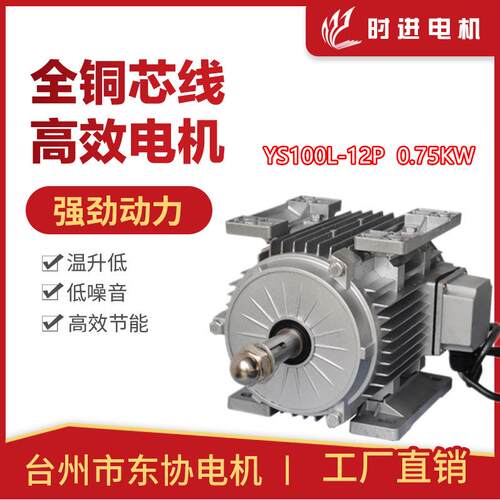 时进电机台州市东协电机YS100L-12P-0.75KW玻璃钢负压风机专用