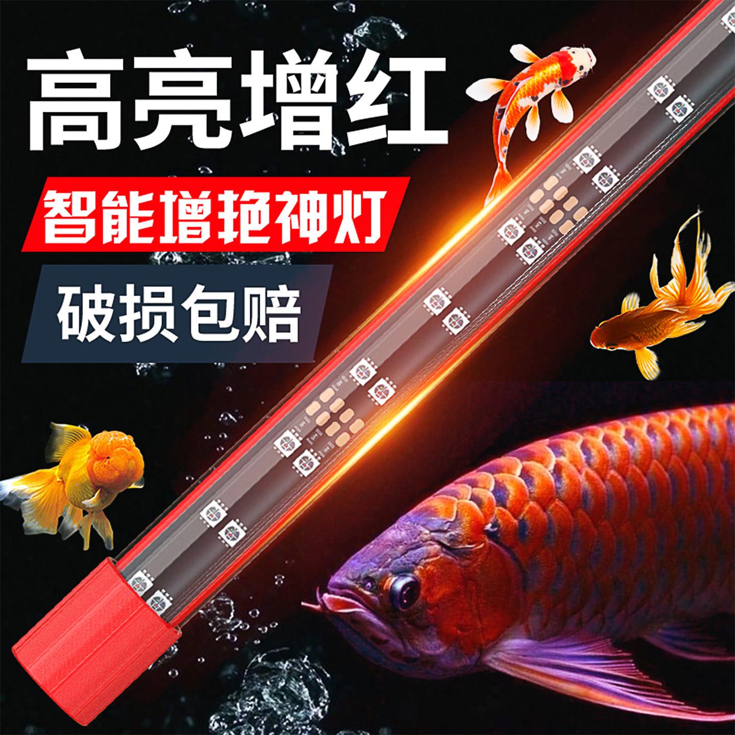 智能高亮2025新款鱼缸灯led防水 七彩变色增艳红龙增色照明专用灯