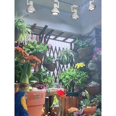植物生长射灯雨林缸专用花卉室内生态造景全光谱仿太阳轨道补光灯