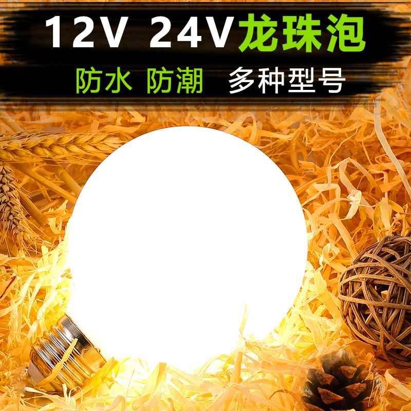 led龙珠灯泡e27螺口低压球形12V24V电压广告牌跑马灯装饰照明灯饰