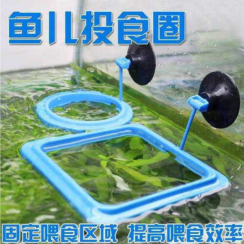 鱼缸喂食器防飘散漂浮喂食圈投食器投食圈鱼食投喂器喂鱼饲料固定