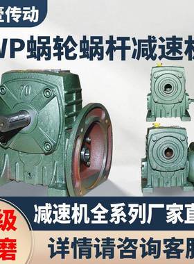 天壹减速机WPDA/WPDS/WPDO/WPDX铁壳蜗轮蜗杆减速器齿轮箱变速器