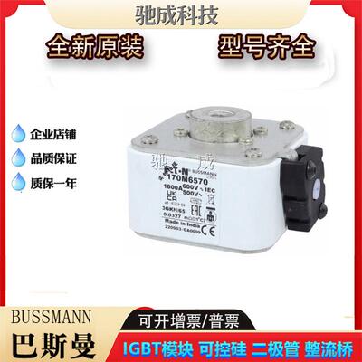 巴斯曼170M6569 170M6570 170M6571 低压保险丝诚信经营货源充足