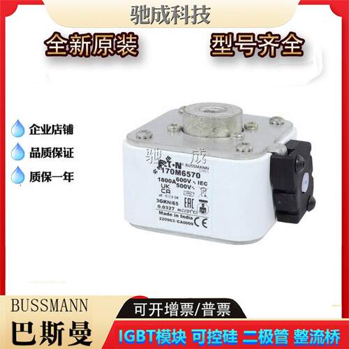 巴斯曼170M6569 170M6570 170M6571 低压保险丝诚信经营货源充足