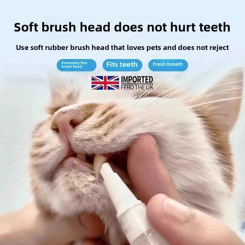英国宠物牙刷笔牙膏全合一猫狗口腔清洁牙石去除口臭狗套装猫刷牙