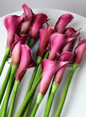 高档轻奢紫色马蹄莲彷真花花客厅电视柜假卉摆设北欧餐桌装饰摆饰