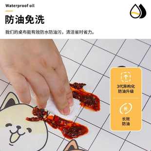 高级感轻奢桌布防水防油免洗风长方形布艺茶几布台布餐桌垫