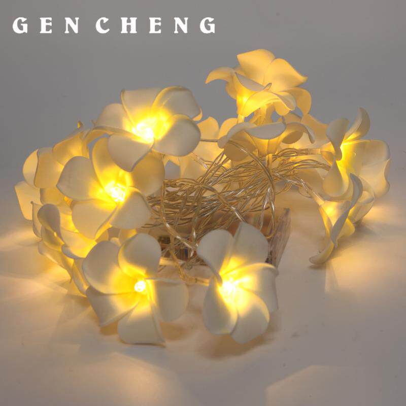 LED彩灯闪灯串满天星星灯求婚告白婚房布置灯鸡蛋花灯装饰彩灯串