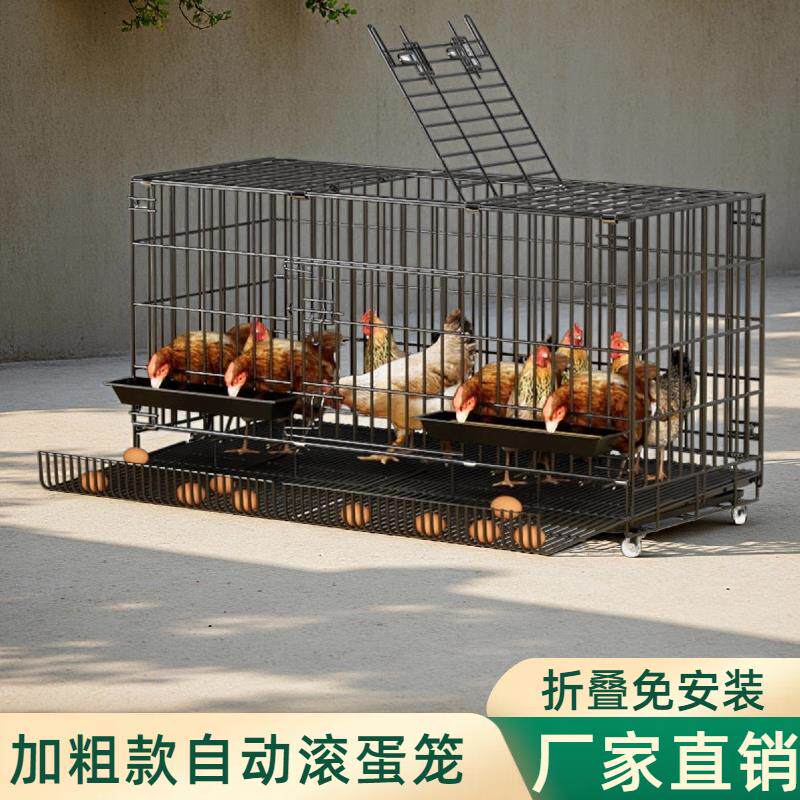 加粗款鸡笼大号小号加密多层室内外鸡自动出蛋家禽农村鸡窝养殖笼
