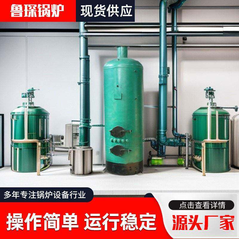 商用热水供暖立式锅炉燃煤生物质特种养殖设备