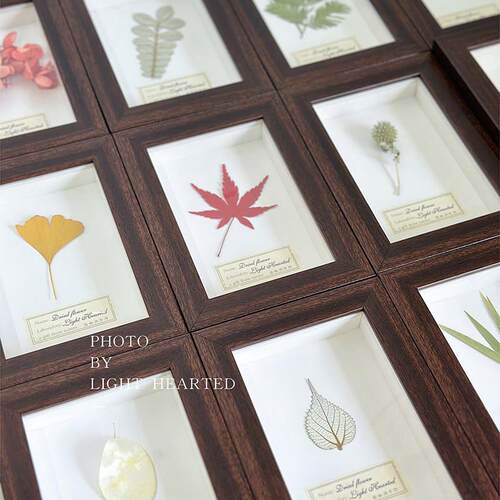 永生花干 干燥花植物标本墙覆古相框家居摆饰装饰画 画壁挂生日节
