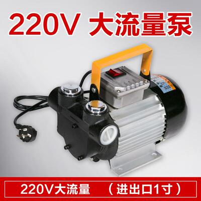 12V 24V 110v220V抽油泵车载移动柴油加油泵fuel transfer pump