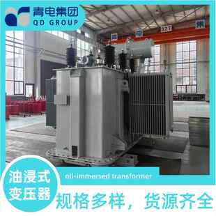 400 S13 S22系列 630KVA油浸式 变压器S20 500 青电变压器厂