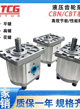 齿轮泵油泵CBN-E304-310/CBN-E314-316/CBN-E320-325高压齿轮油泵