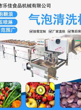 商用马齿笕喷淋清洗机紫苏叶气泡清洗风干线罗汉果气泡清洗设备