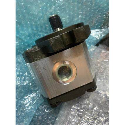 ronzio 泵用配件 02ZCG06L434D 带线圈