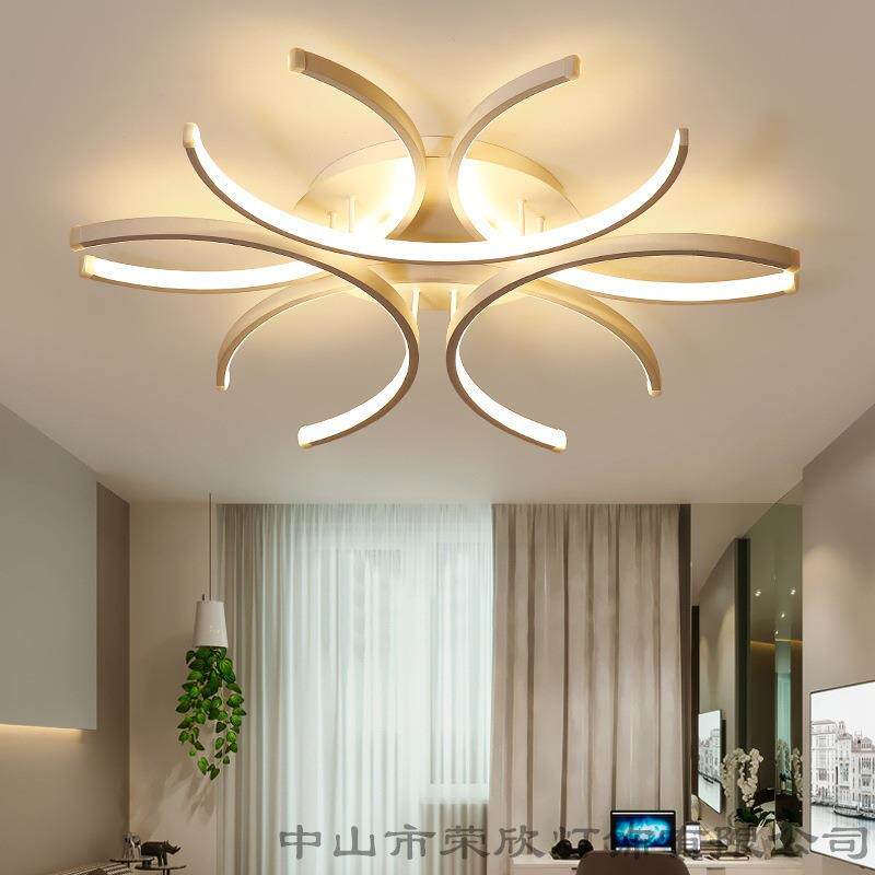 led吸顶灯 简约现代过道灯具客厅卧室灯色白亚克力花形卧室吸顶灯